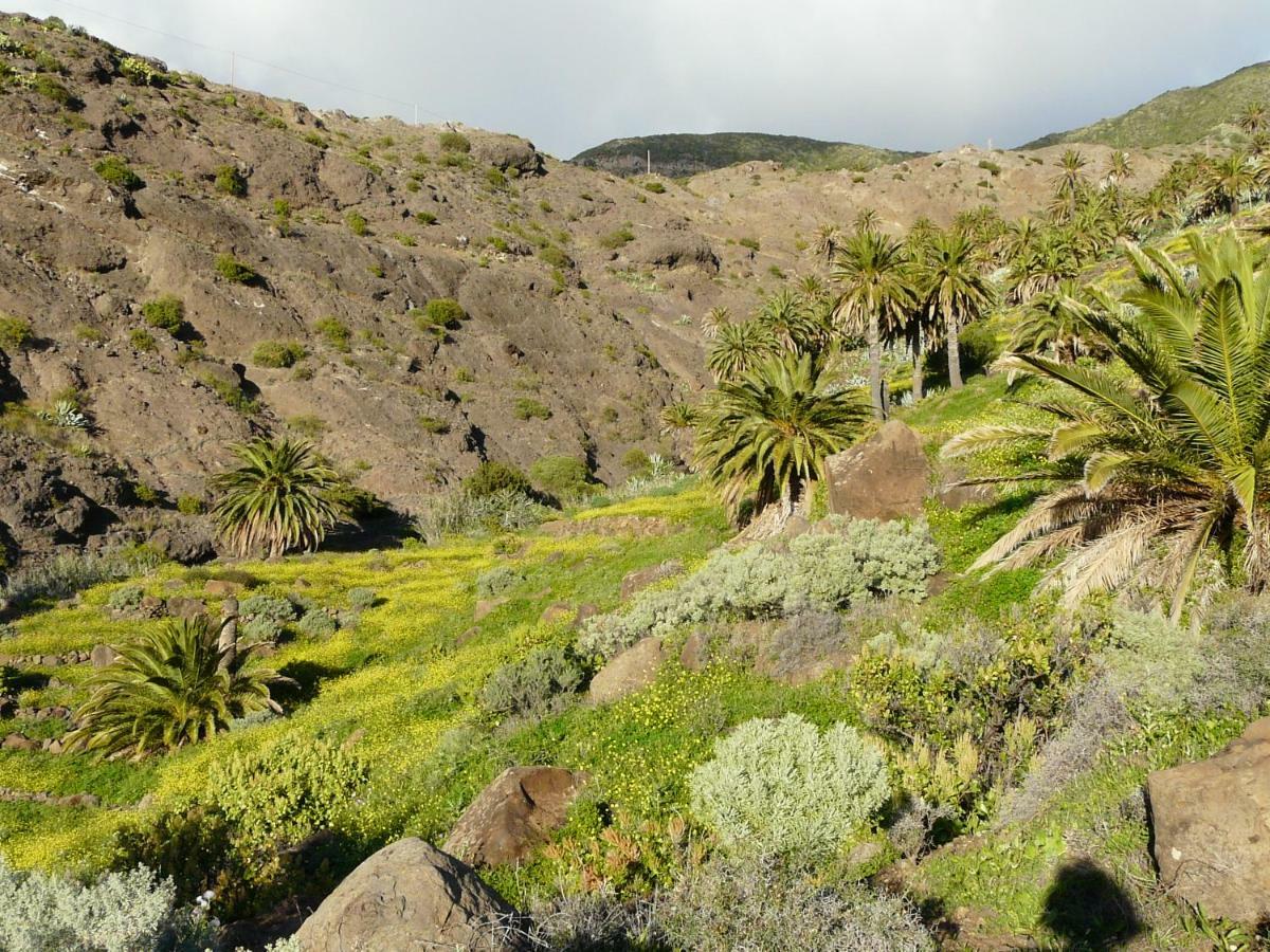 El Pirguan Holiday House, Your Oasis In La Gomera Vallehermoso Exterior foto