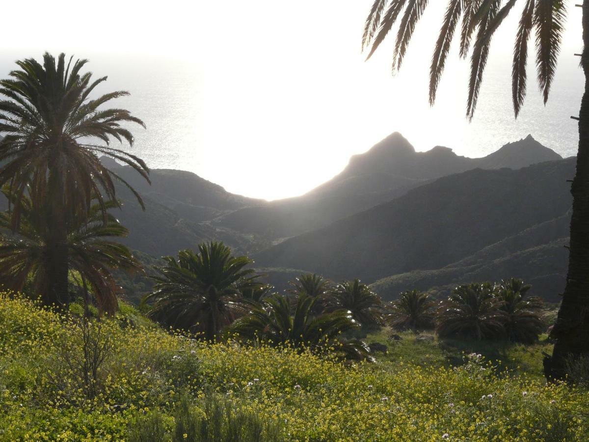 El Pirguan Holiday House, Your Oasis In La Gomera Vallehermoso Exterior foto