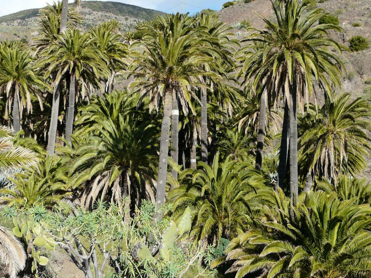 El Pirguan Holiday House, Your Oasis In La Gomera Vallehermoso Exterior foto