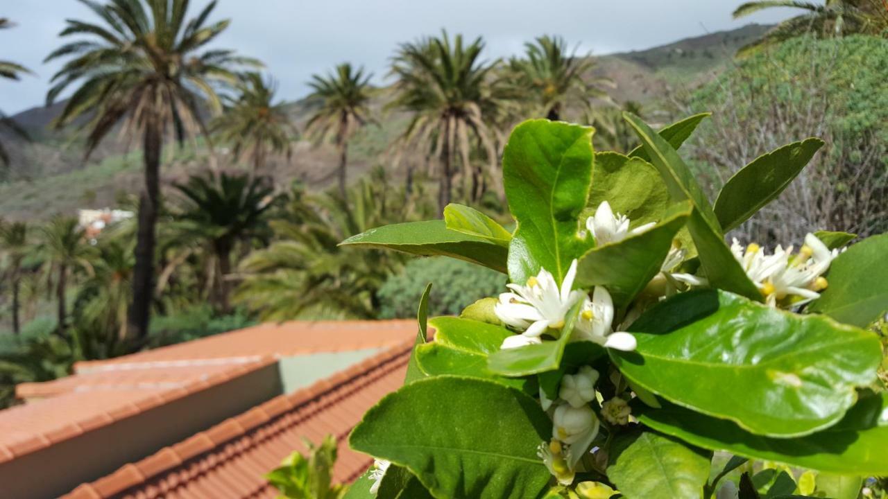 El Pirguan Holiday House, Your Oasis In La Gomera Vallehermoso Exterior foto