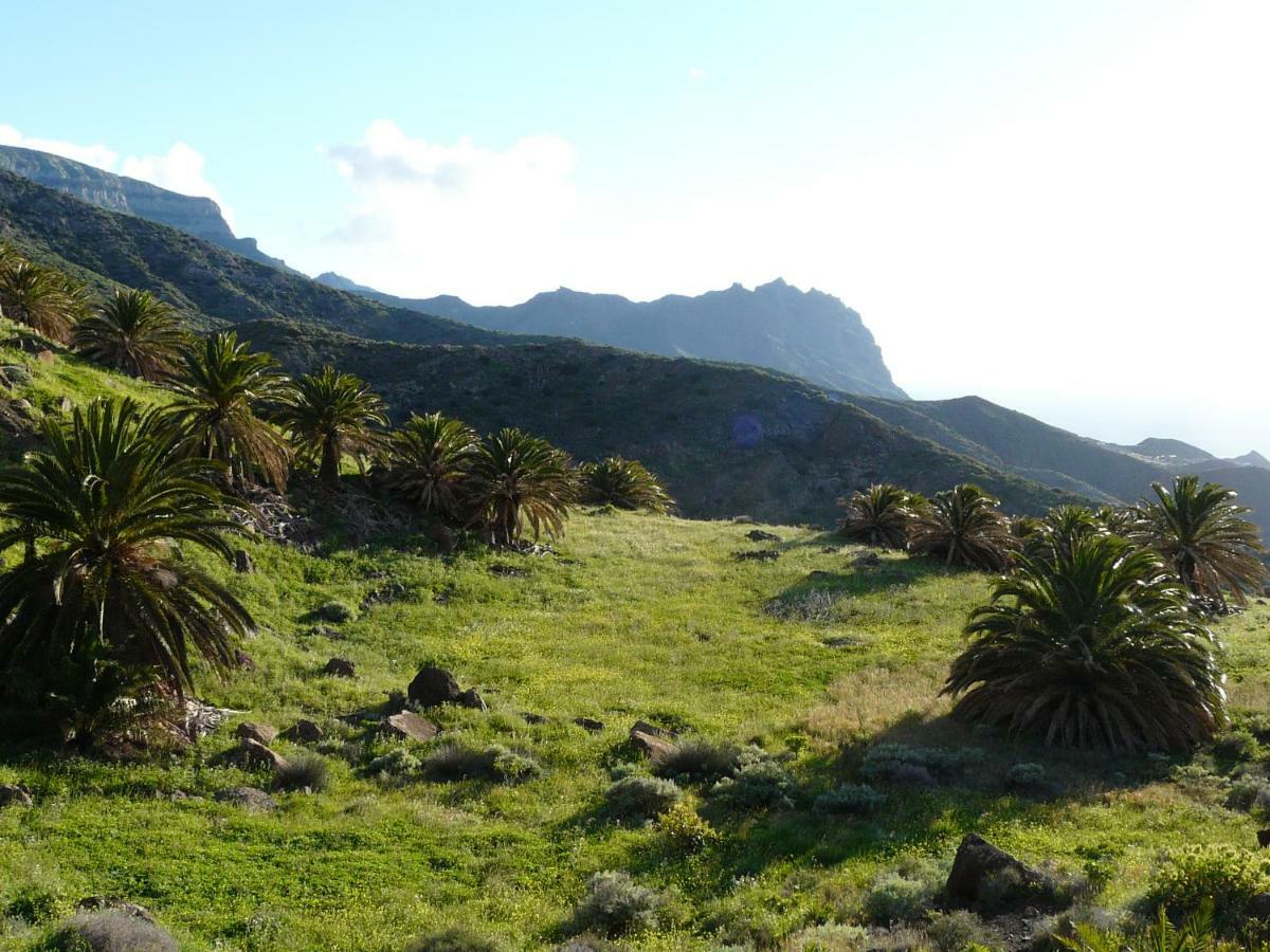 El Pirguan Holiday House, Your Oasis In La Gomera Vallehermoso Exterior foto