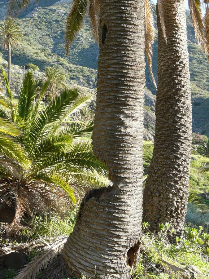 El Pirguan Holiday House, Your Oasis In La Gomera Vallehermoso Exterior foto