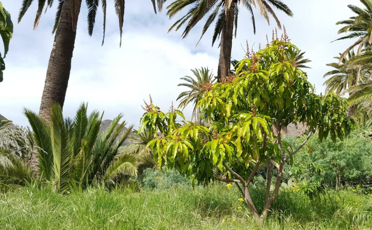 El Pirguan Holiday House, Your Oasis In La Gomera Vallehermoso Exterior foto