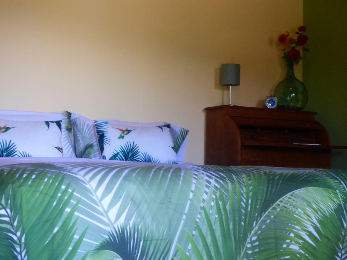 El Pirguan Holiday House, Your Oasis In La Gomera Vallehermoso Exterior foto